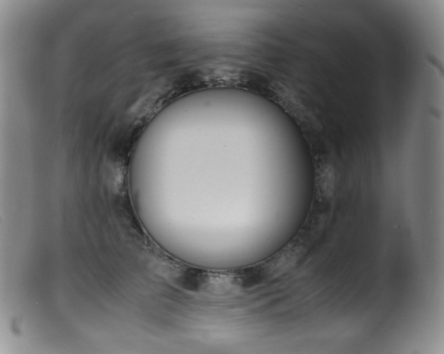 X0000099550709200805161452