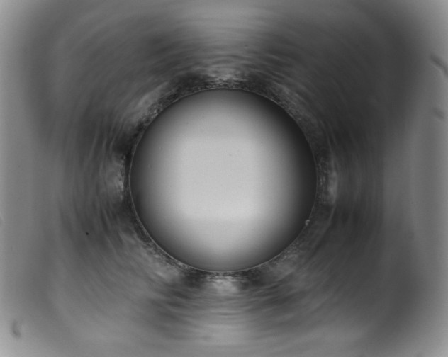 X0000099550710200805161452