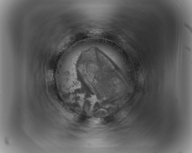 X0000099550711200805161452