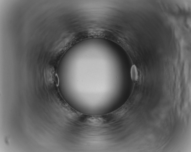 X0000099550712200805161452