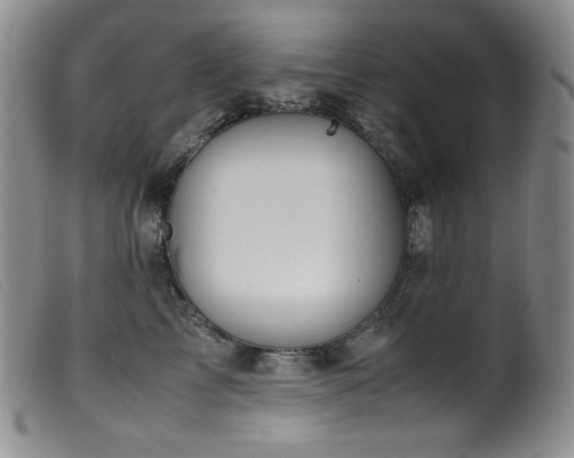 X0000099550713200805161452