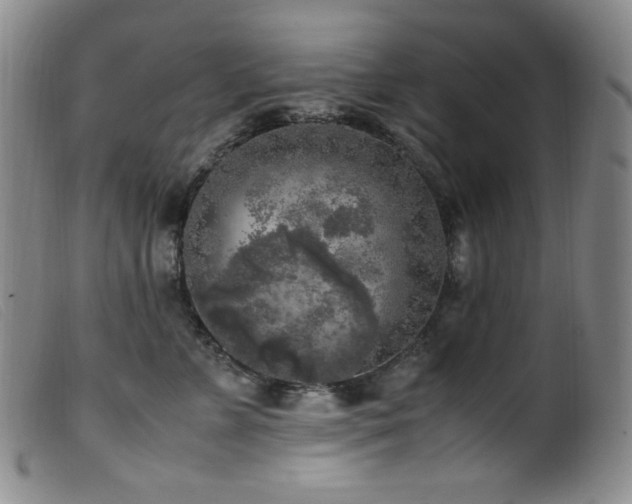 X0000099550715200805161452
