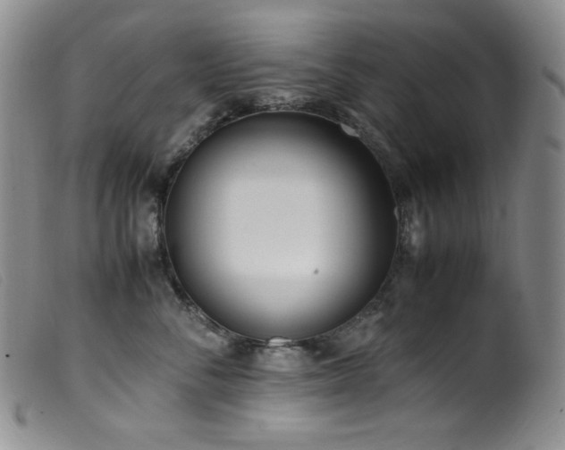 X0000099550716200805161452