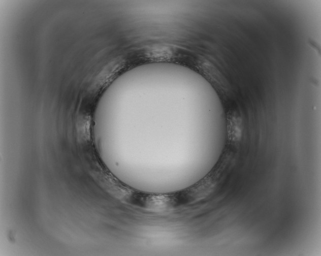 X0000099550717200805161452