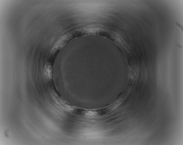 X0000099550718200805161452