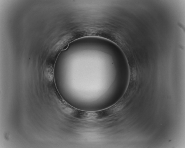 X0000099550719200805161452