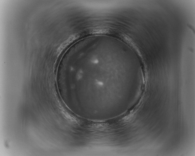 X0000099550721200805161451