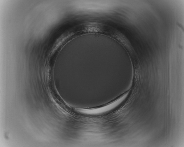 X0000099550722200805161451