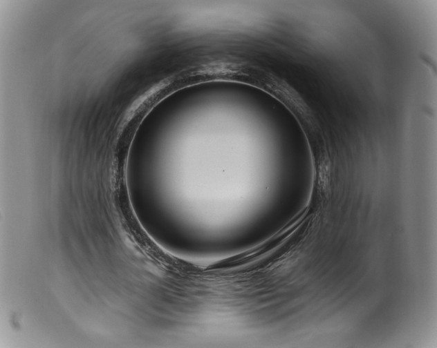 X0000099550724200805161451