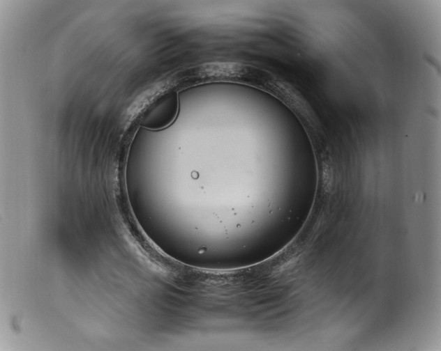 X0000099550725200805161451