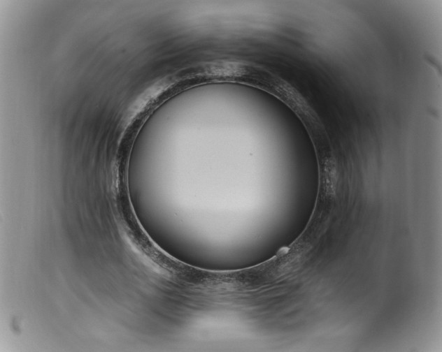 X0000099550726200805161451