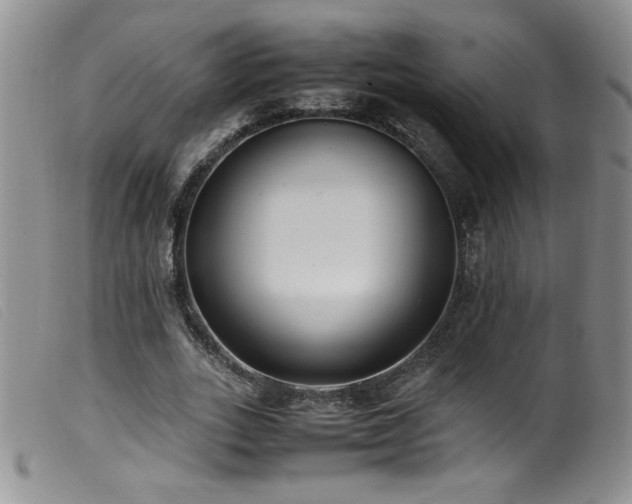X0000099550727200805161451