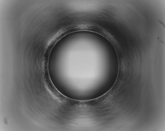 X0000099550730200805161451