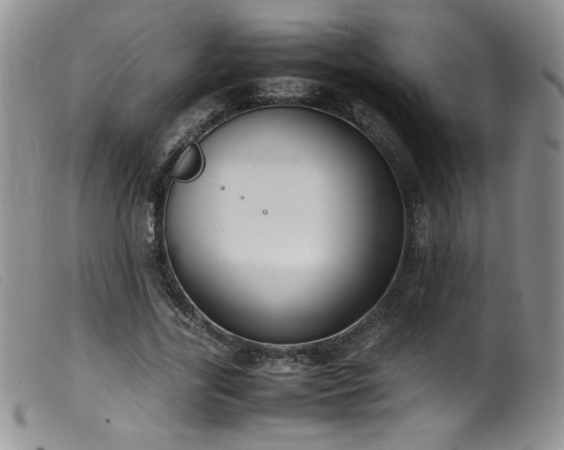 X0000099550731200805161451
