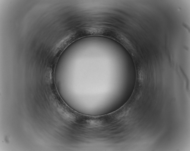 X0000099550733200805161451