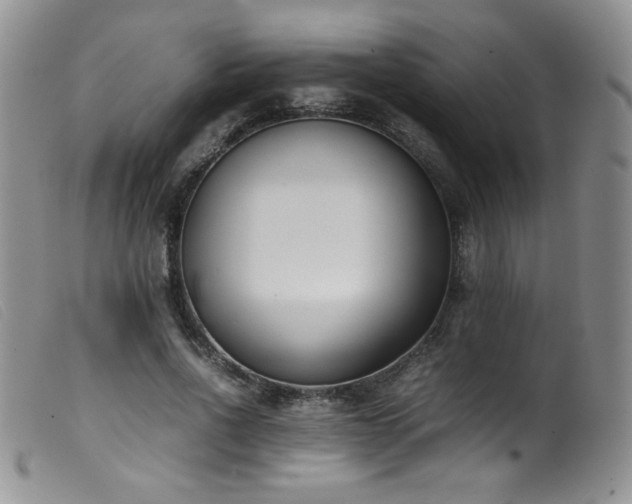 X0000099550734200805161451