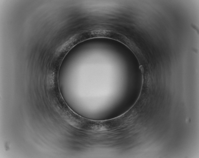 X0000099550735200805161451