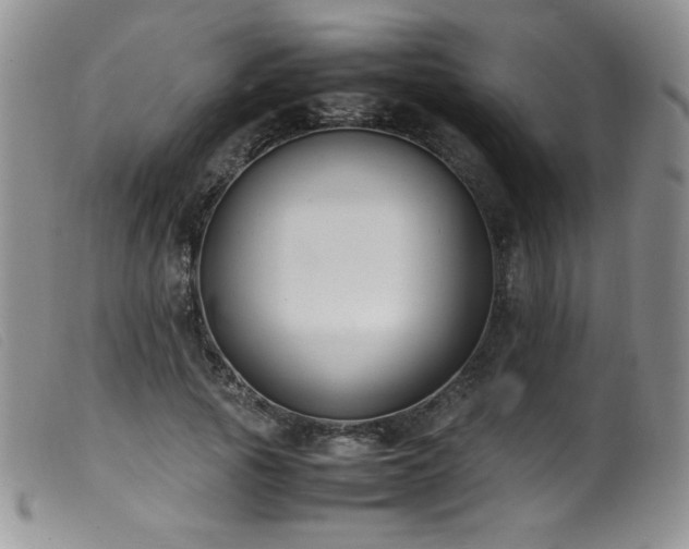 X0000099550737200805161452