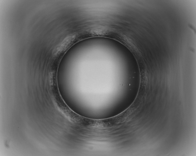 X0000099550738200805161452