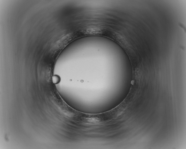 X0000099550741200805161452