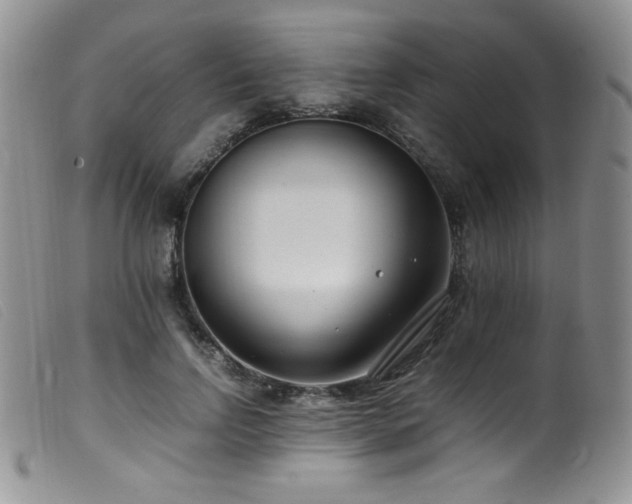 X0000099550742200805161452