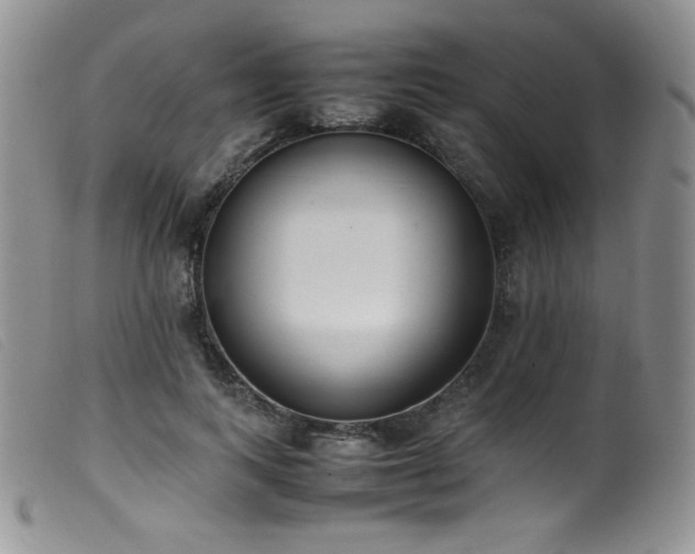 X0000099550743200805161452