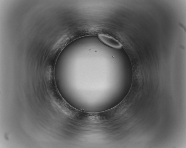 X0000099550744200805161452