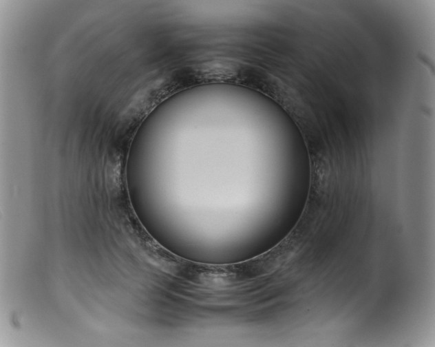 X0000099550745200805161452