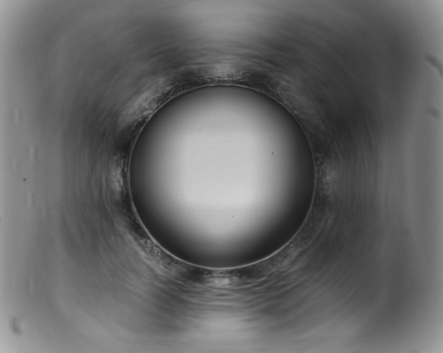 X0000099550746200805161452
