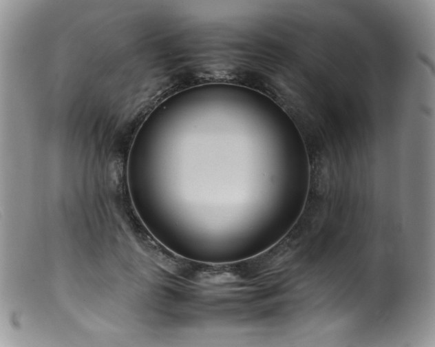 X0000099550747200805161452