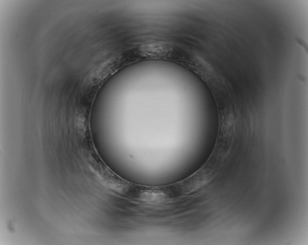 X0000099550749200805161452
