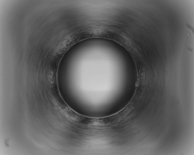 X0000099550750200805161452