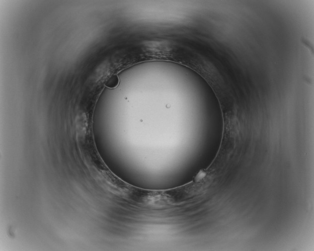 X0000099550752200805161452