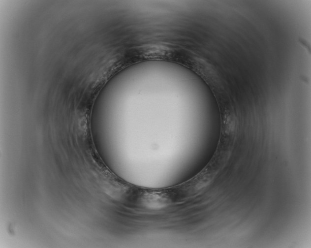 X0000099550753200805161452