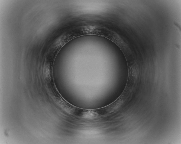X0000099550754200805161452