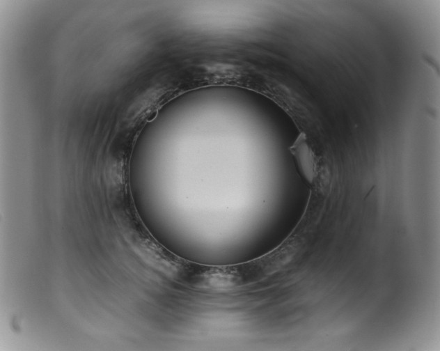 X0000099550756200805161452