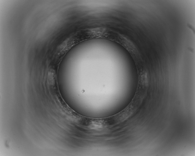 X0000099550757200805161452