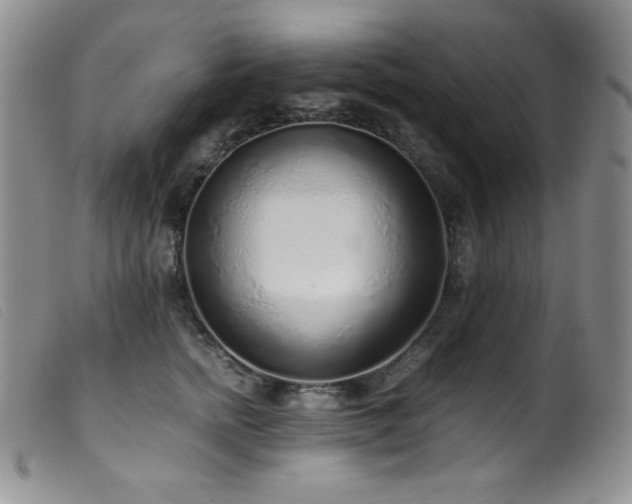 X0000099550758200805161452