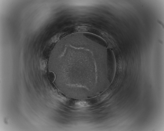 X0000099550759200805161452