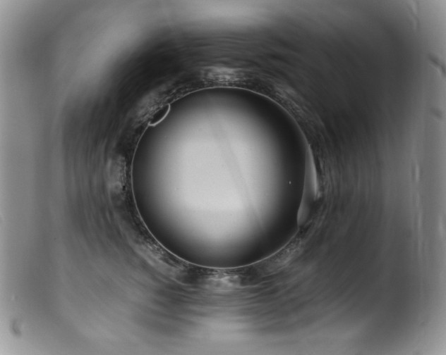 X0000099550760200805161452