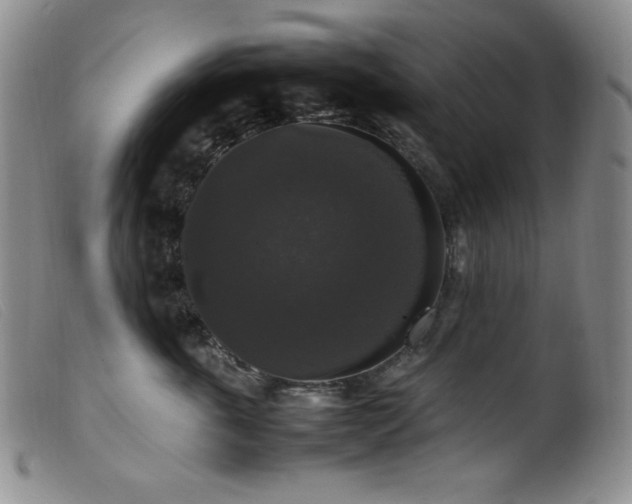 X0000099550763200805161452
