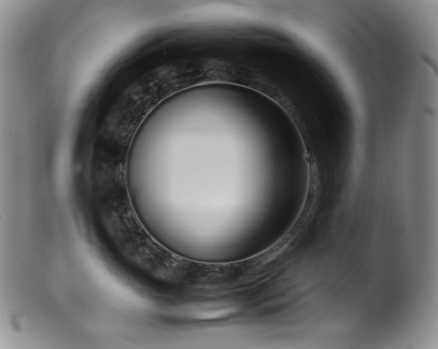 X0000099550765200805161452