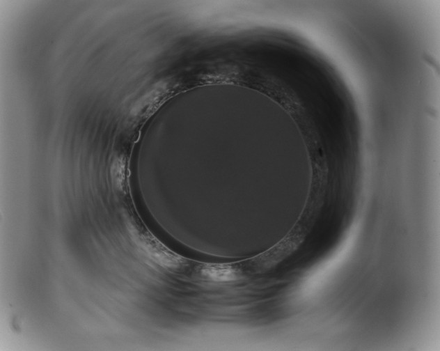 X0000099550767200805161452