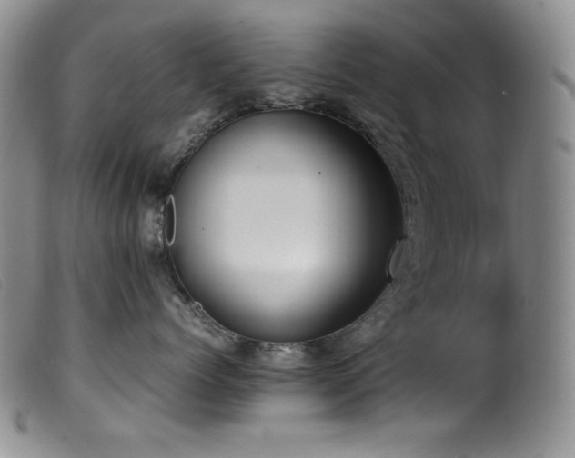 X0000099550768200805161452