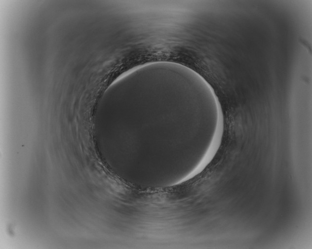 X0000099550769200805161451