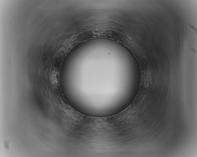 X0000099550770200805161451