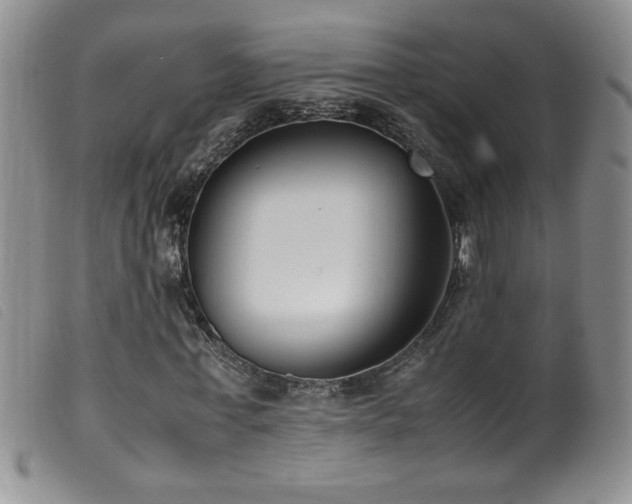 X0000099550771200805161451