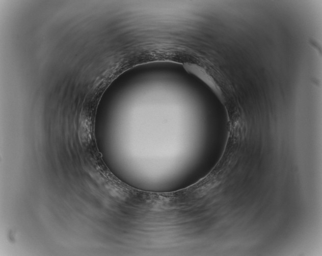 X0000099550772200805161451