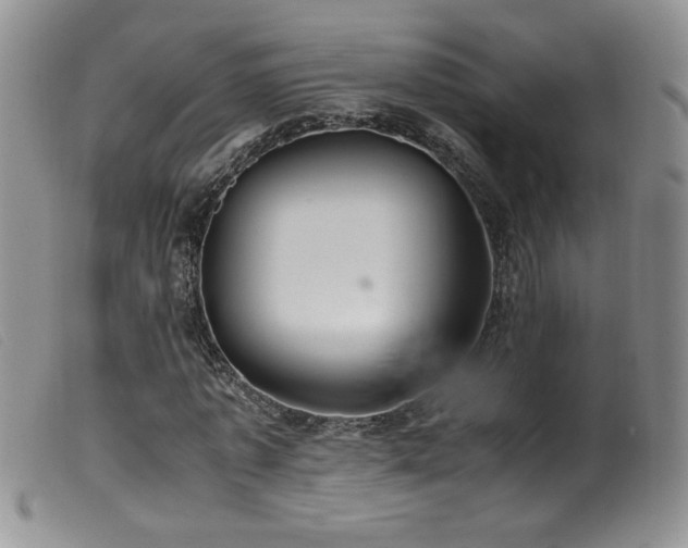 X0000099550773200805161451