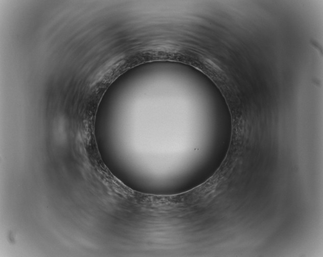 X0000099550774200805161451